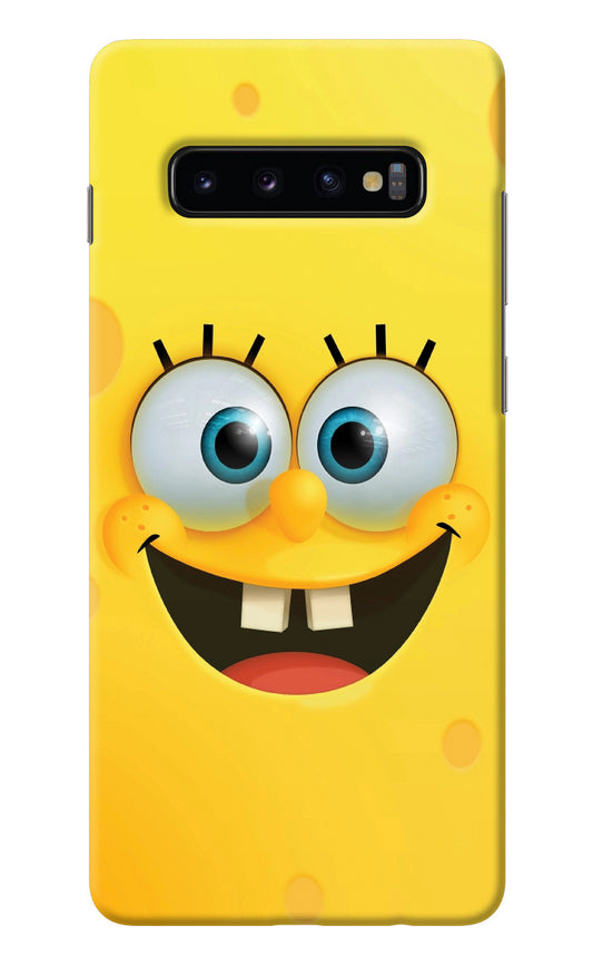 Sponge 1 Samsung S10 Plus Back Cover