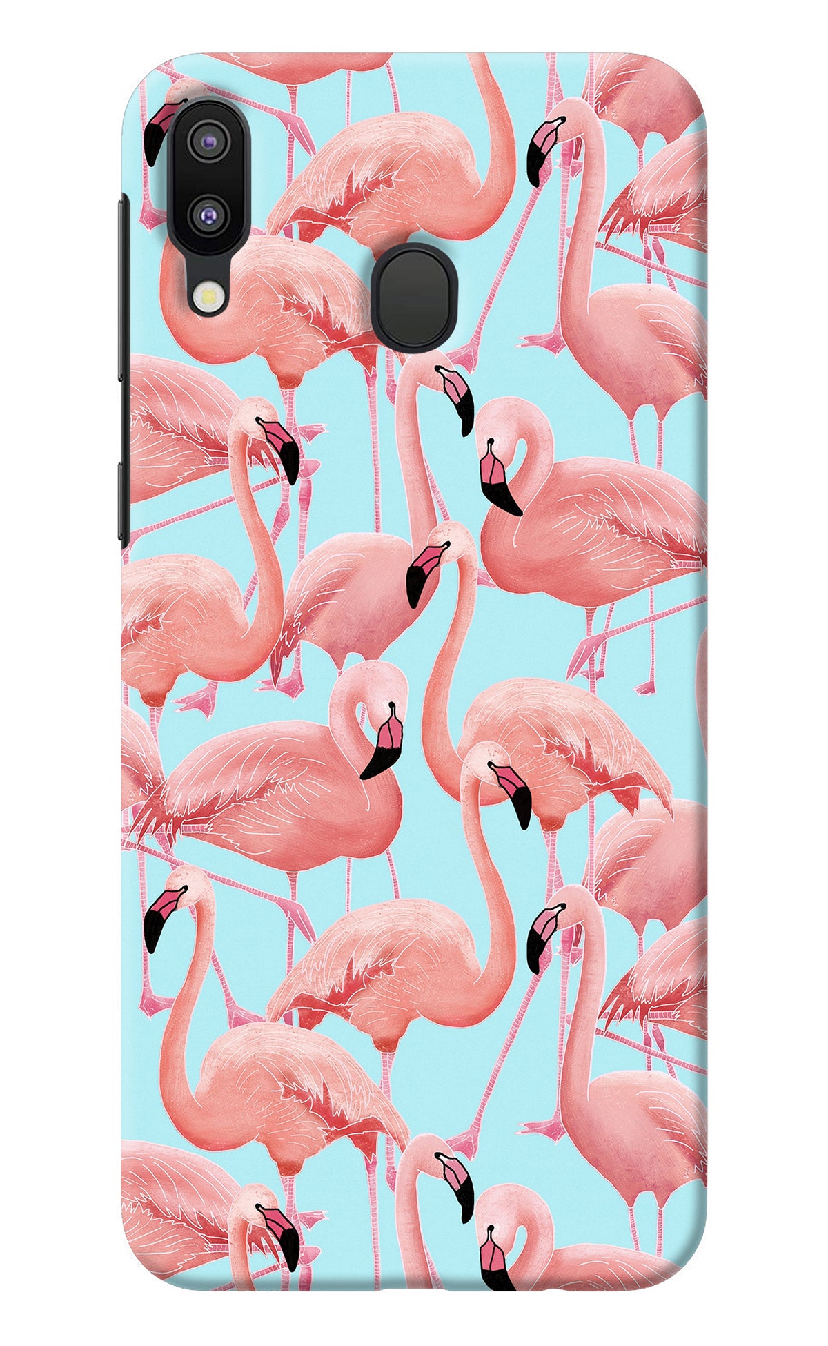 Flamboyance Samsung M20 Back Cover