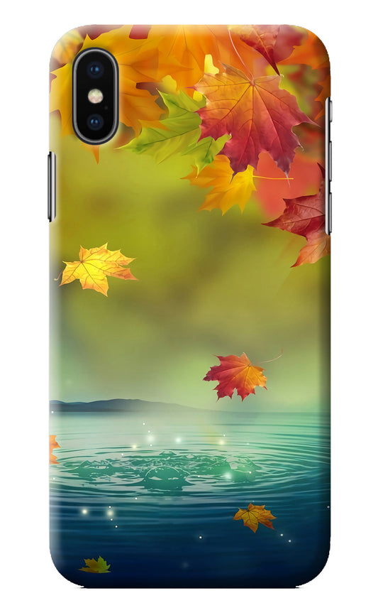 Flowers iPhone XS Back Cover