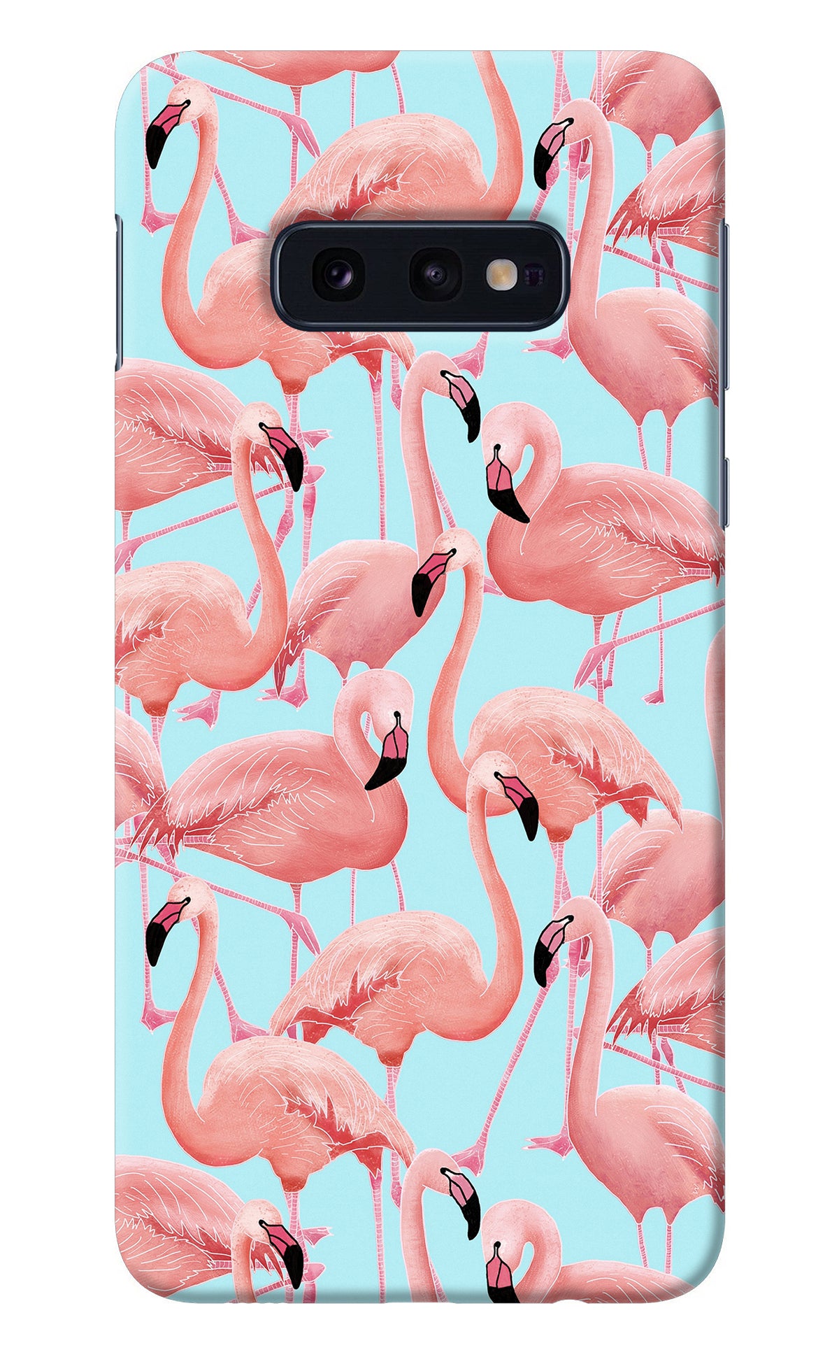 Flamboyance Samsung S10E Back Cover