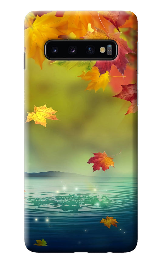 Flowers Samsung S10 Back Cover