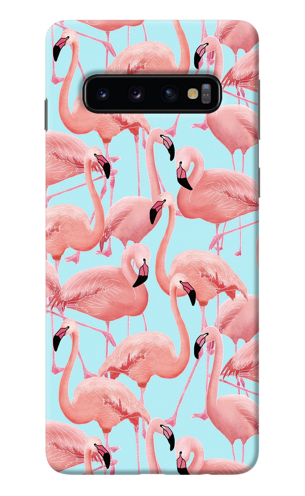 Flamboyance Samsung S10 Back Cover