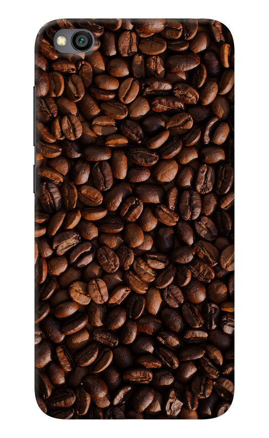 Coffee Beans Redmi Go Back Cover