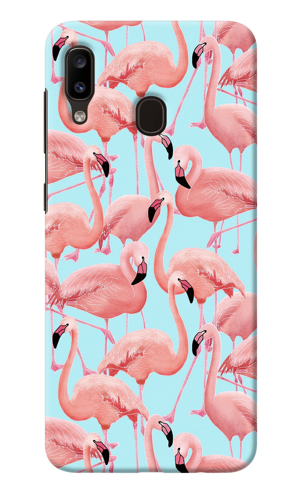 Flamboyance Samsung A20/M10s Back Cover