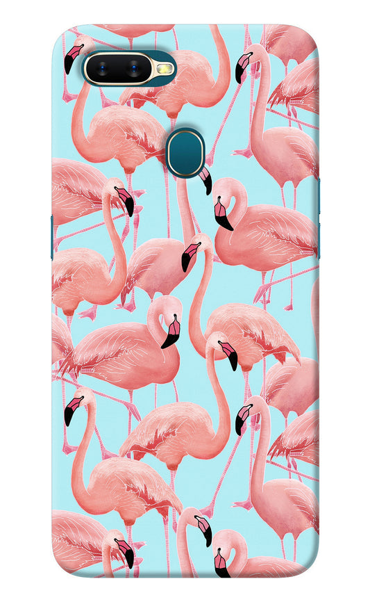 Flamboyance Oppo A7/A5s/A12 Back Cover