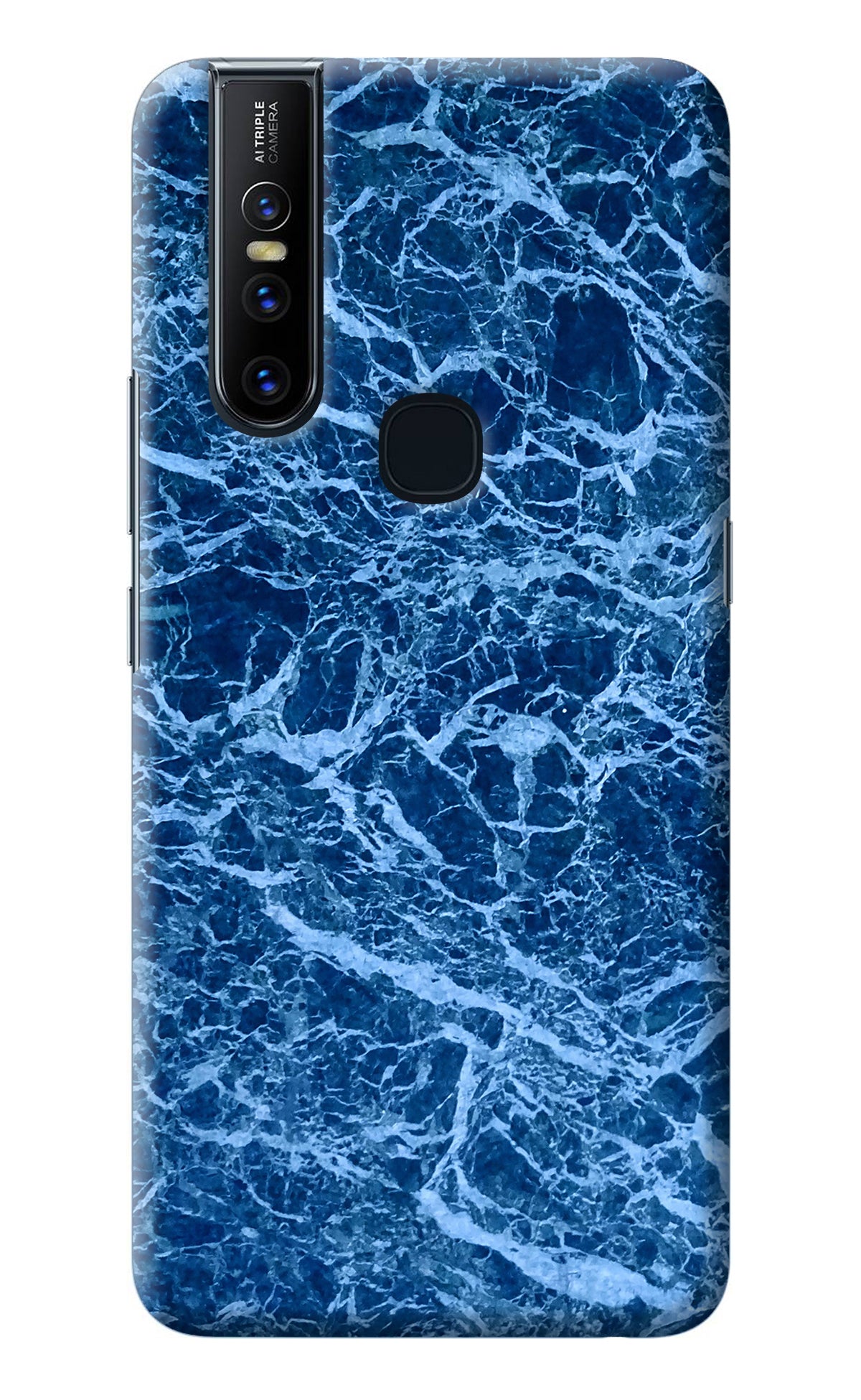 Blue Marble Vivo V15 Back Cover