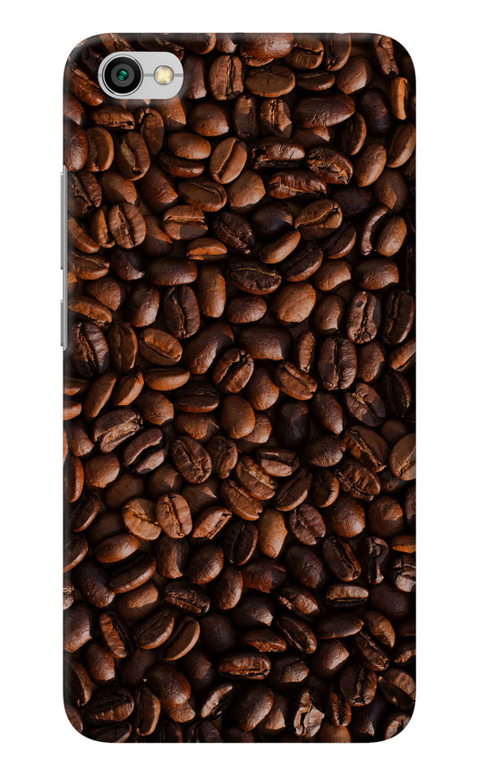 Coffee Beans Redmi Y1 Lite Back Cover