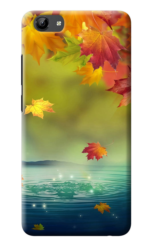 Flowers Vivo Y71 Back Cover