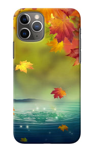 Flowers iPhone 11 Pro Back Cover