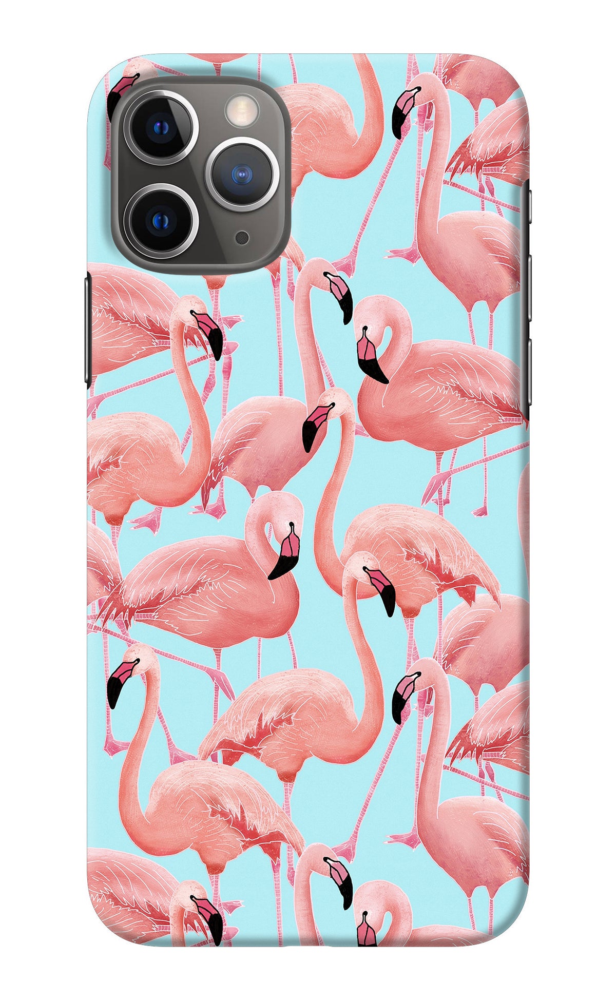 Flamboyance iPhone 11 Pro Back Cover