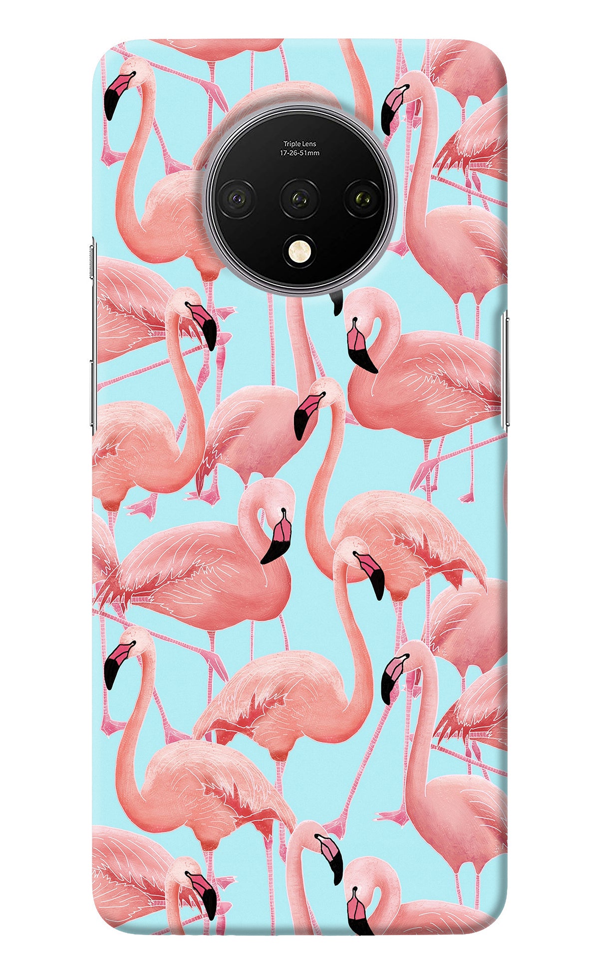 Flamboyance Oneplus 7T Back Cover