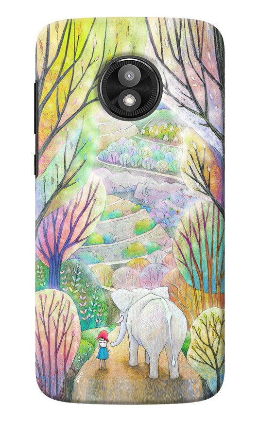 Nature Painting Moto E5 Play Back Cover
