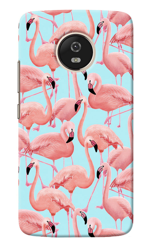 Flamboyance Moto G5 Back Cover