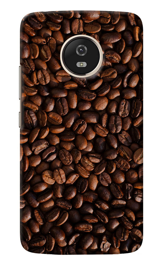 Coffee Beans Moto G5 Back Cover