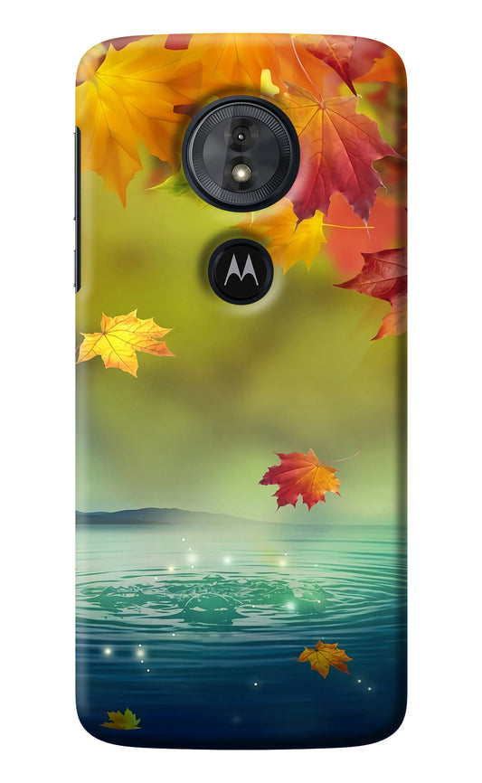 Flowers Moto G6 Play Back Cover