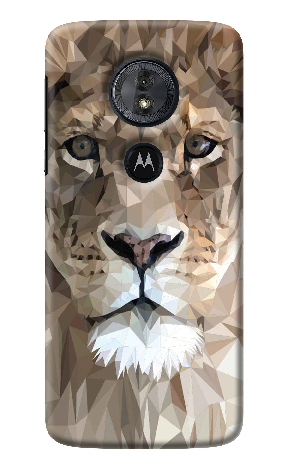 Lion Art Moto G6 Play Back Cover