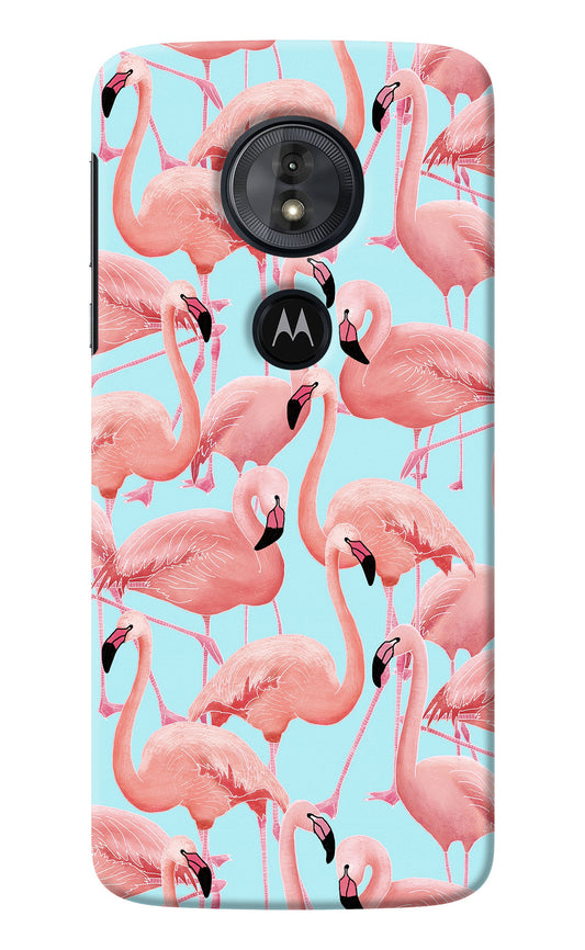 Flamboyance Moto G6 Play Back Cover