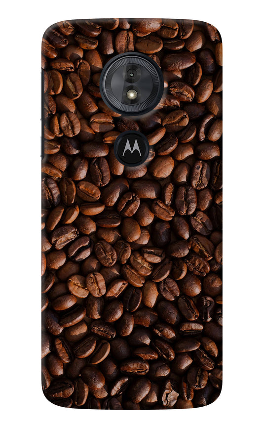 Coffee Beans Moto G6 Play Back Cover