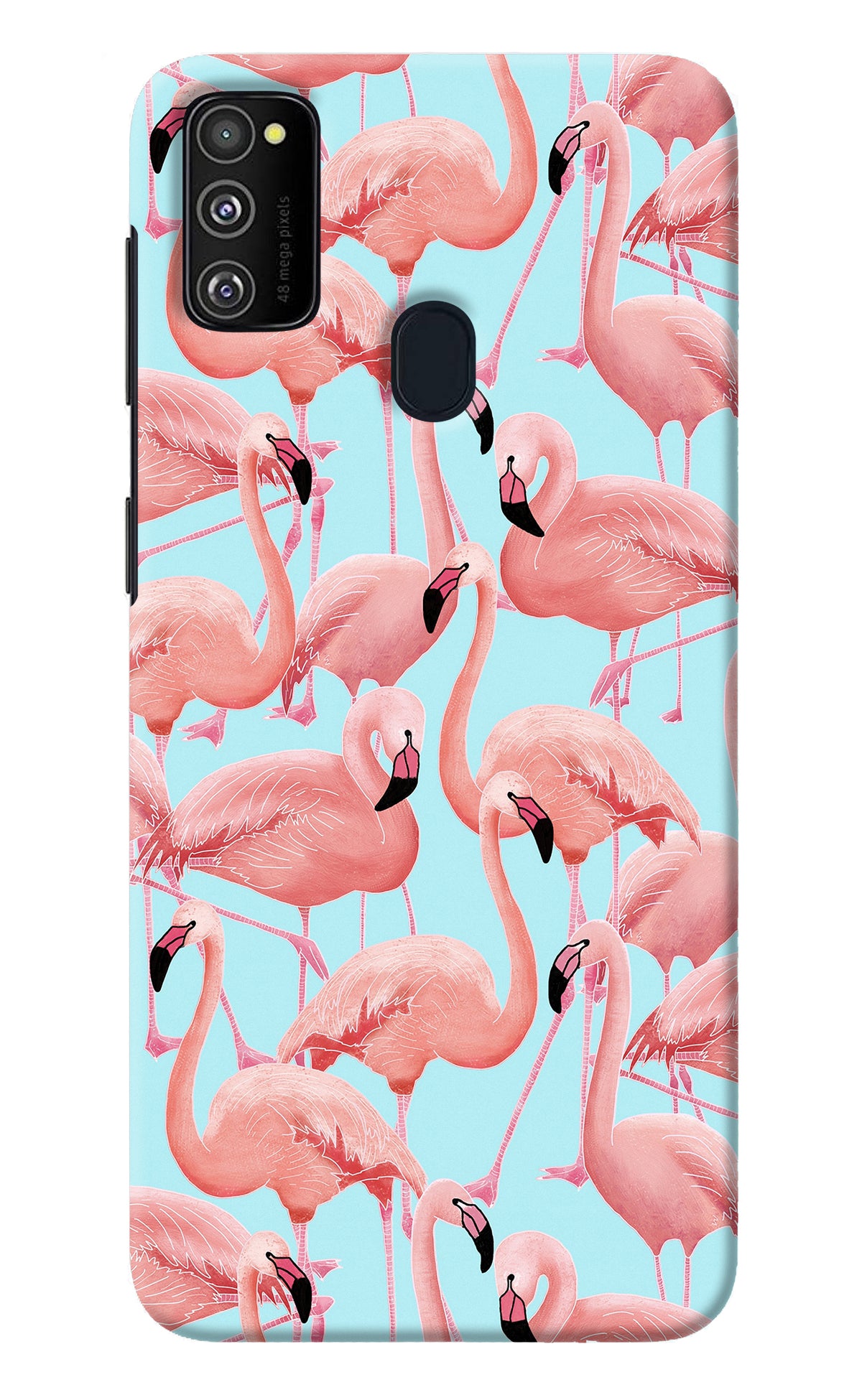 Flamboyance Samsung M30s Back Cover