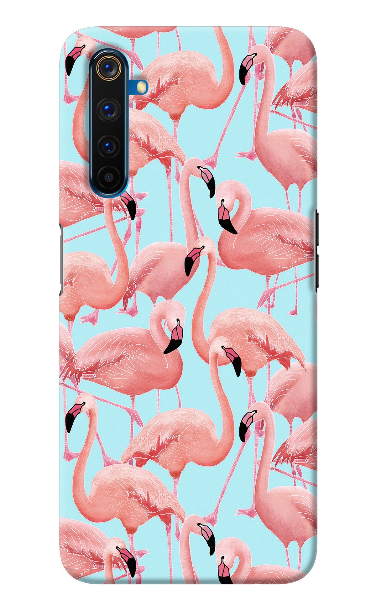 Flamboyance Realme 6 Pro Back Cover