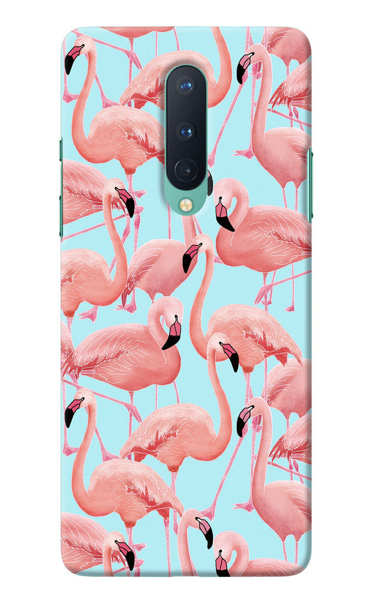 Flamboyance Oneplus 8 Back Cover