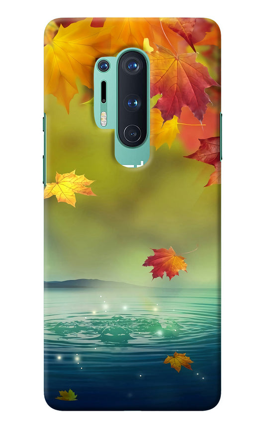 Flowers Oneplus 8 Pro Back Cover