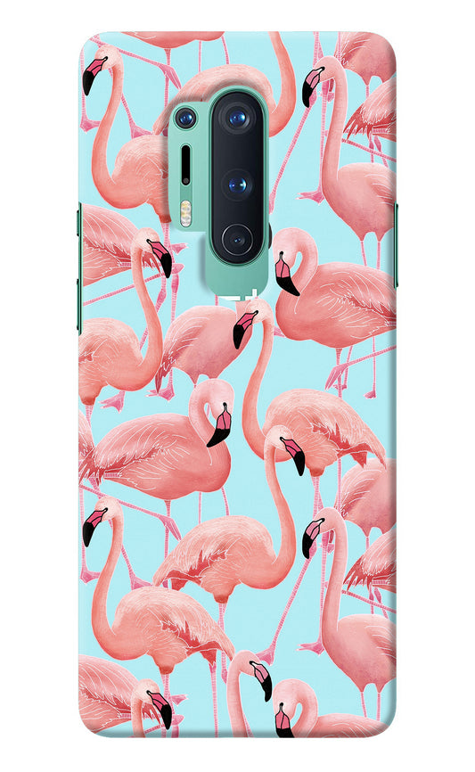 Flamboyance Oneplus 8 Pro Back Cover