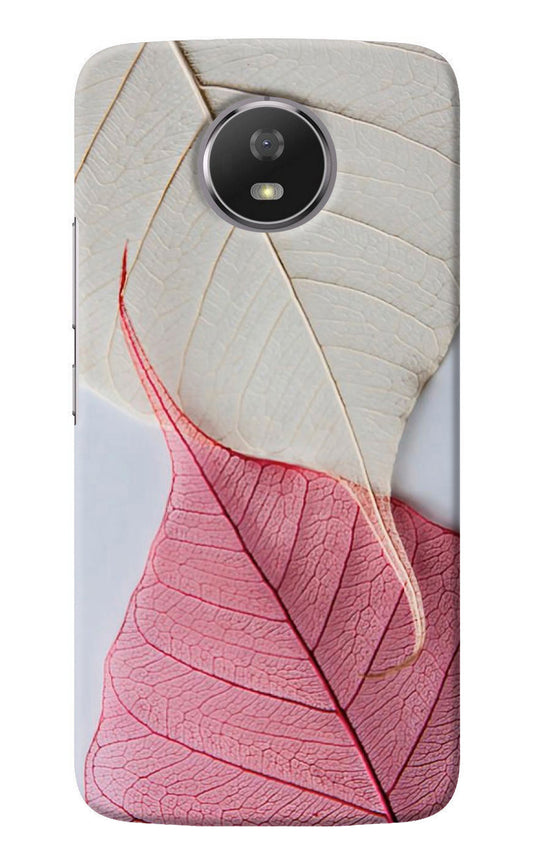 White Pink Leaf Moto G5S Back Cover