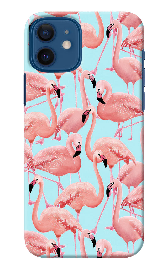 Flamboyance iPhone 12 Back Cover