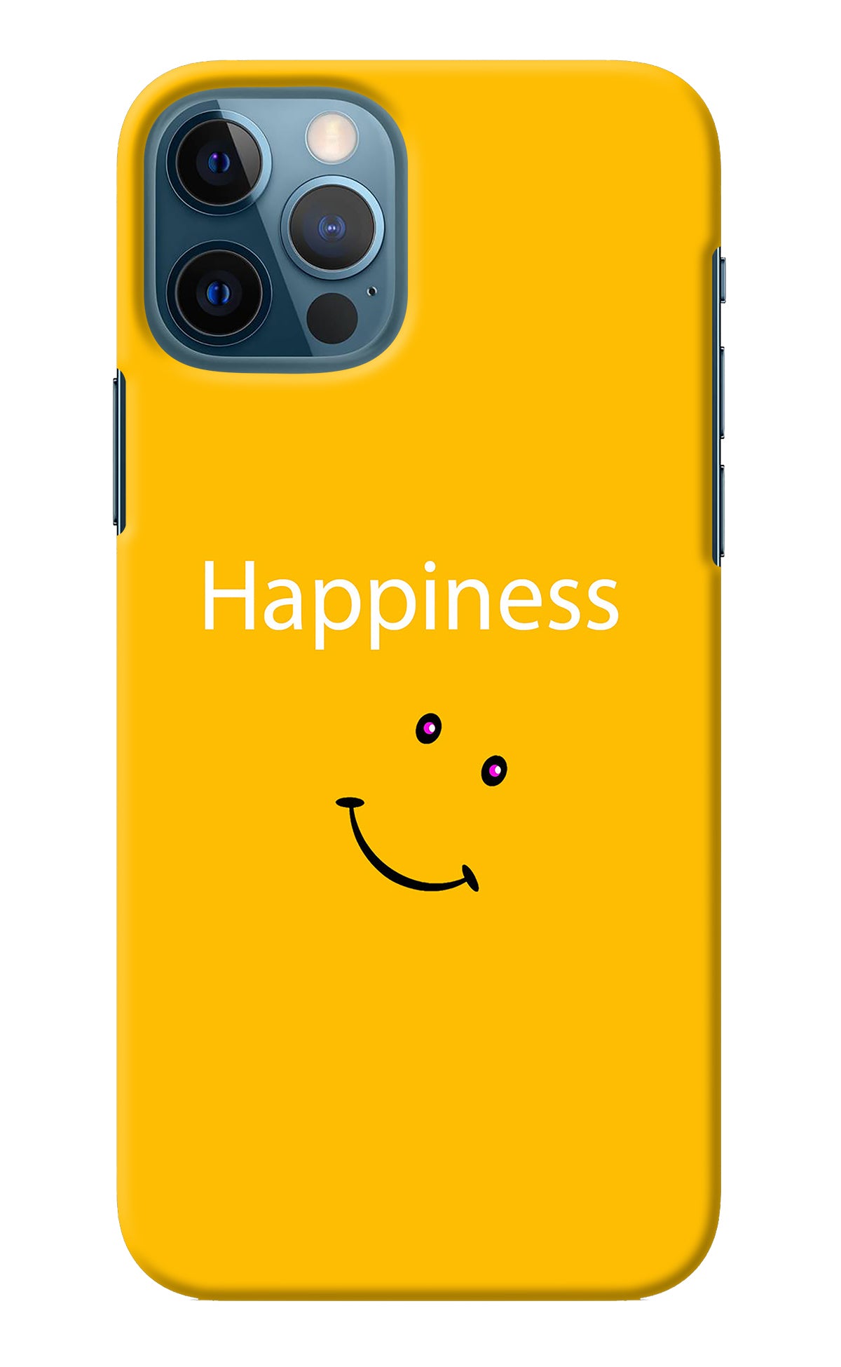 Happiness With Smiley iPhone 12 Pro Back Cover