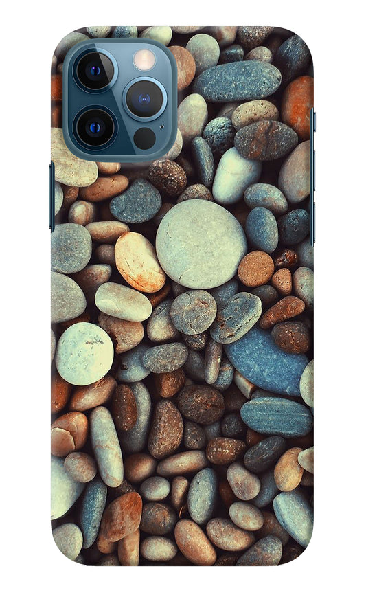 Pebble iPhone 12 Pro Back Cover