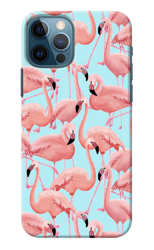 Flamboyance iPhone 12 Pro Back Cover