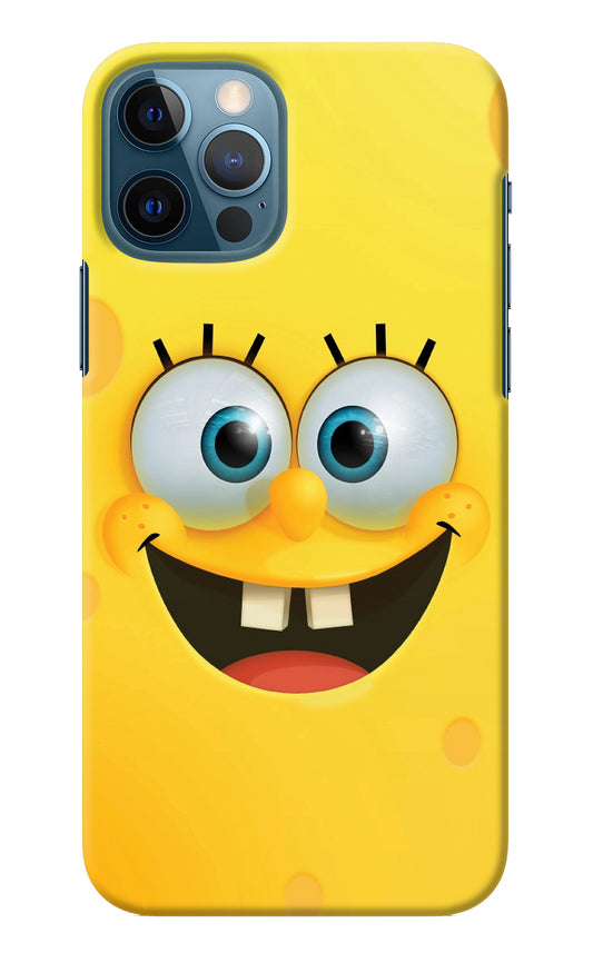 Sponge 1 iPhone 12 Pro Back Cover