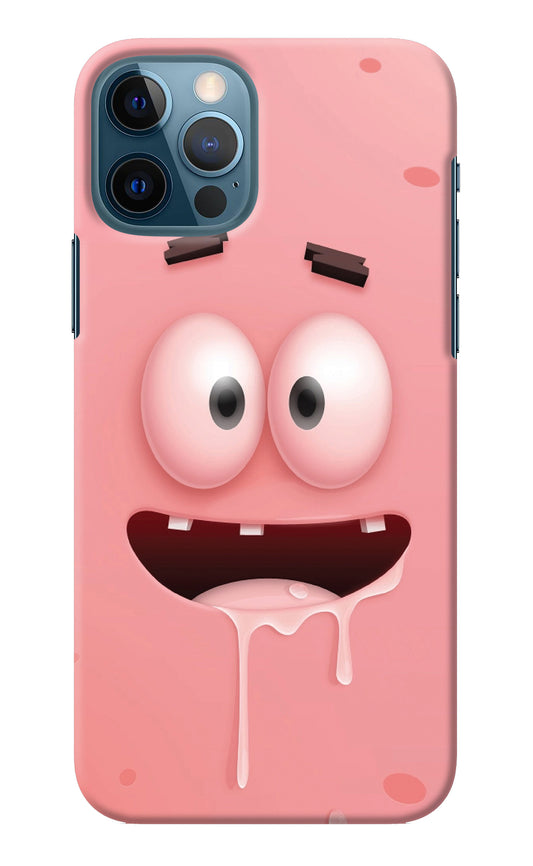 Sponge 2 iPhone 12 Pro Back Cover