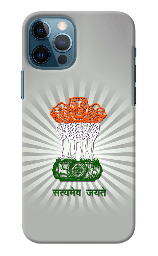 Satyamev Jayate Art iPhone 12 Pro Back Cover