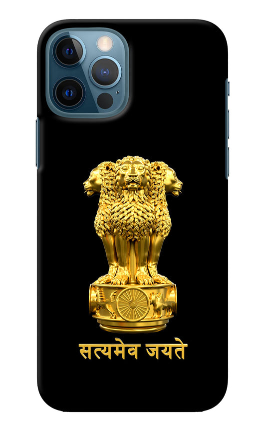 Satyamev Jayate Golden iPhone 12 Pro Back Cover