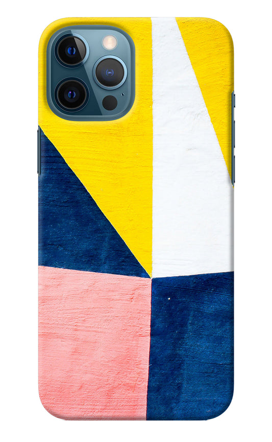 Colourful Art iPhone 12 Pro Max Back Cover
