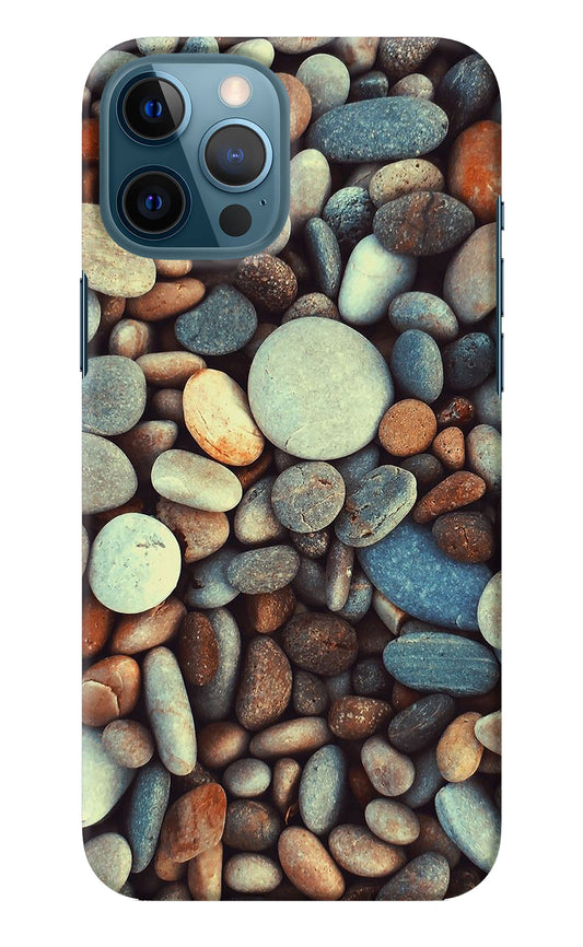 Pebble iPhone 12 Pro Max Back Cover