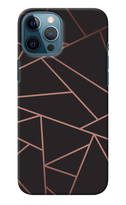 Geometric Pattern iPhone 12 Pro Max Back Cover
