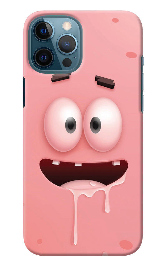 Sponge 2 iPhone 12 Pro Max Back Cover