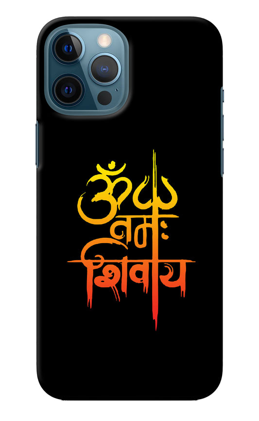 Om Namah Shivay iPhone 12 Pro Max Back Cover