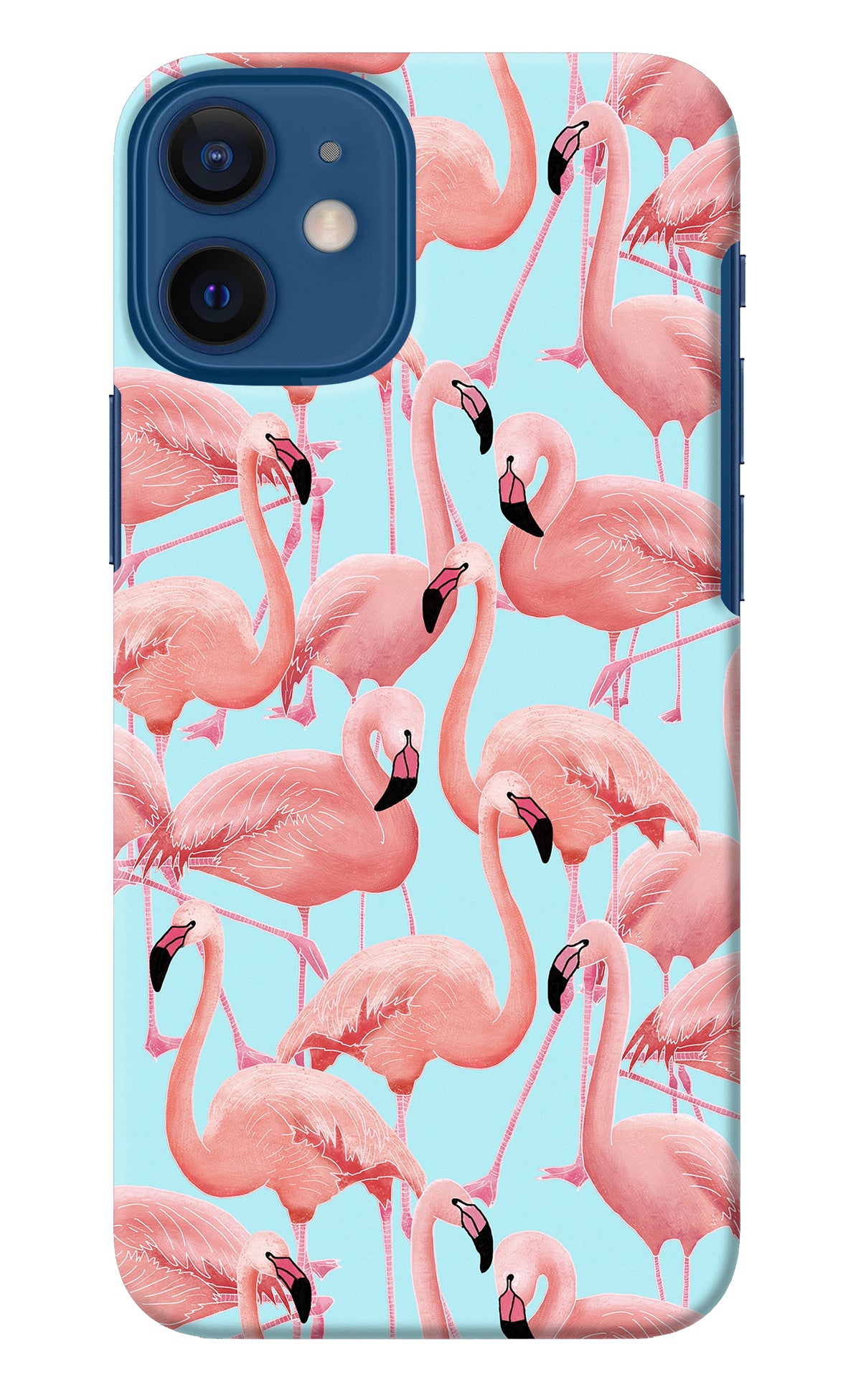 Flamboyance iPhone 12 Mini Back Cover