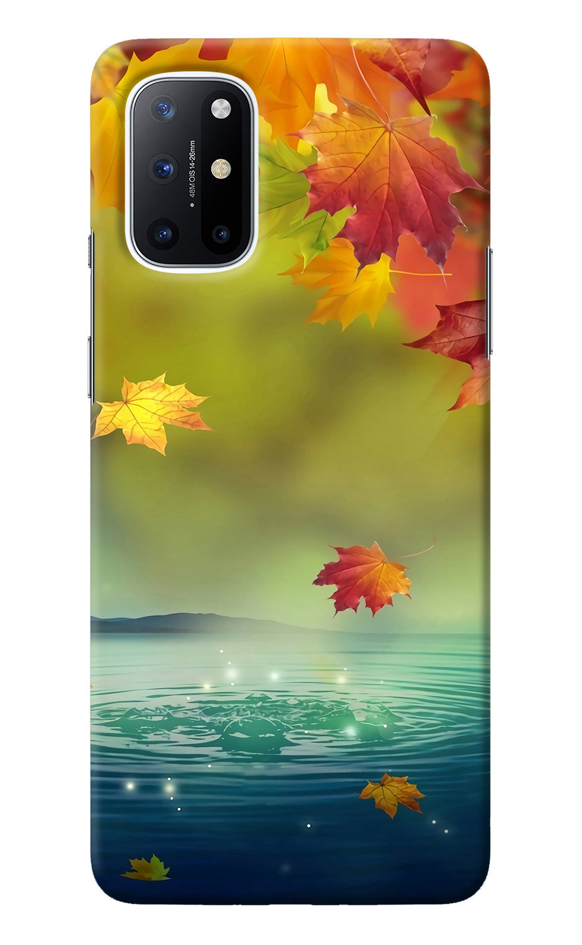 Flowers Oneplus 8T Back Cover