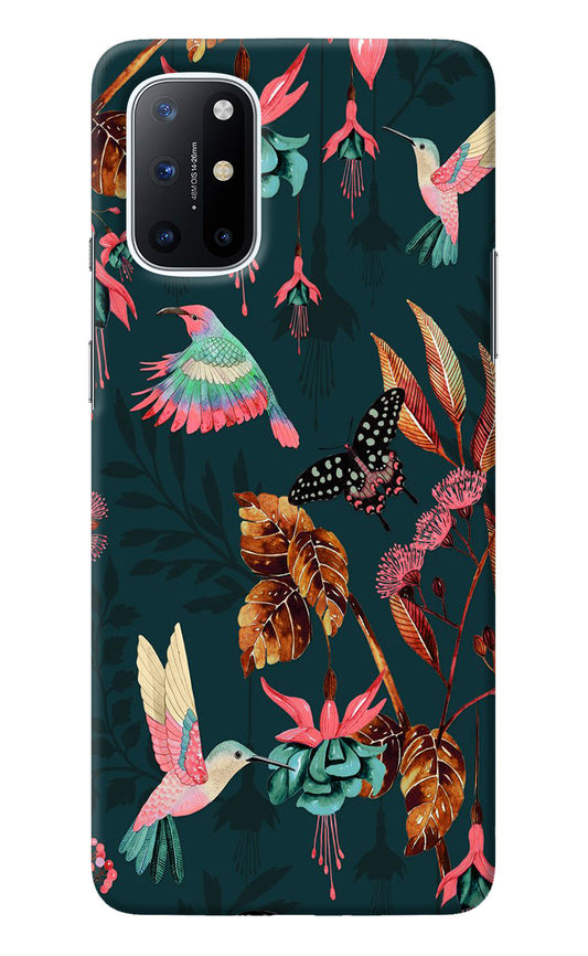 Birds Oneplus 8T Back Cover