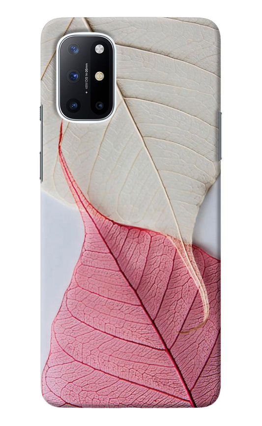 White Pink Leaf Oneplus 8T Back Cover