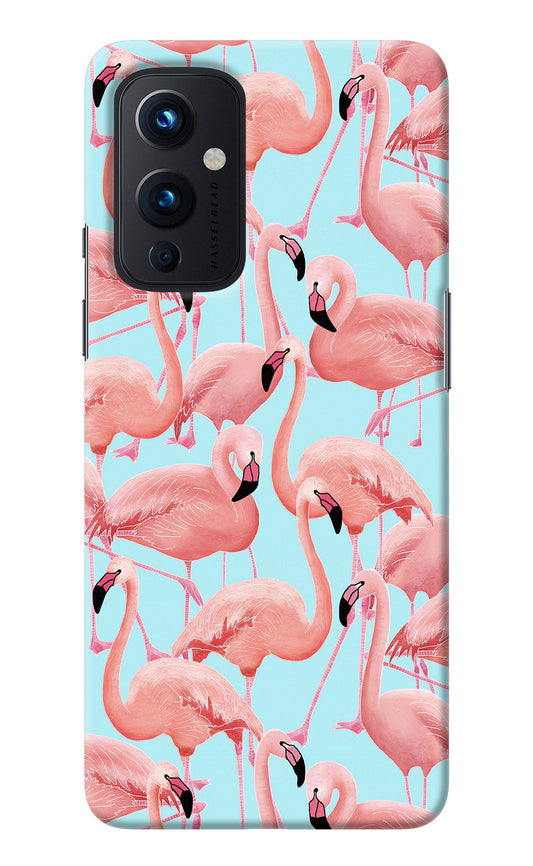 Flamboyance Oneplus 9 Back Cover