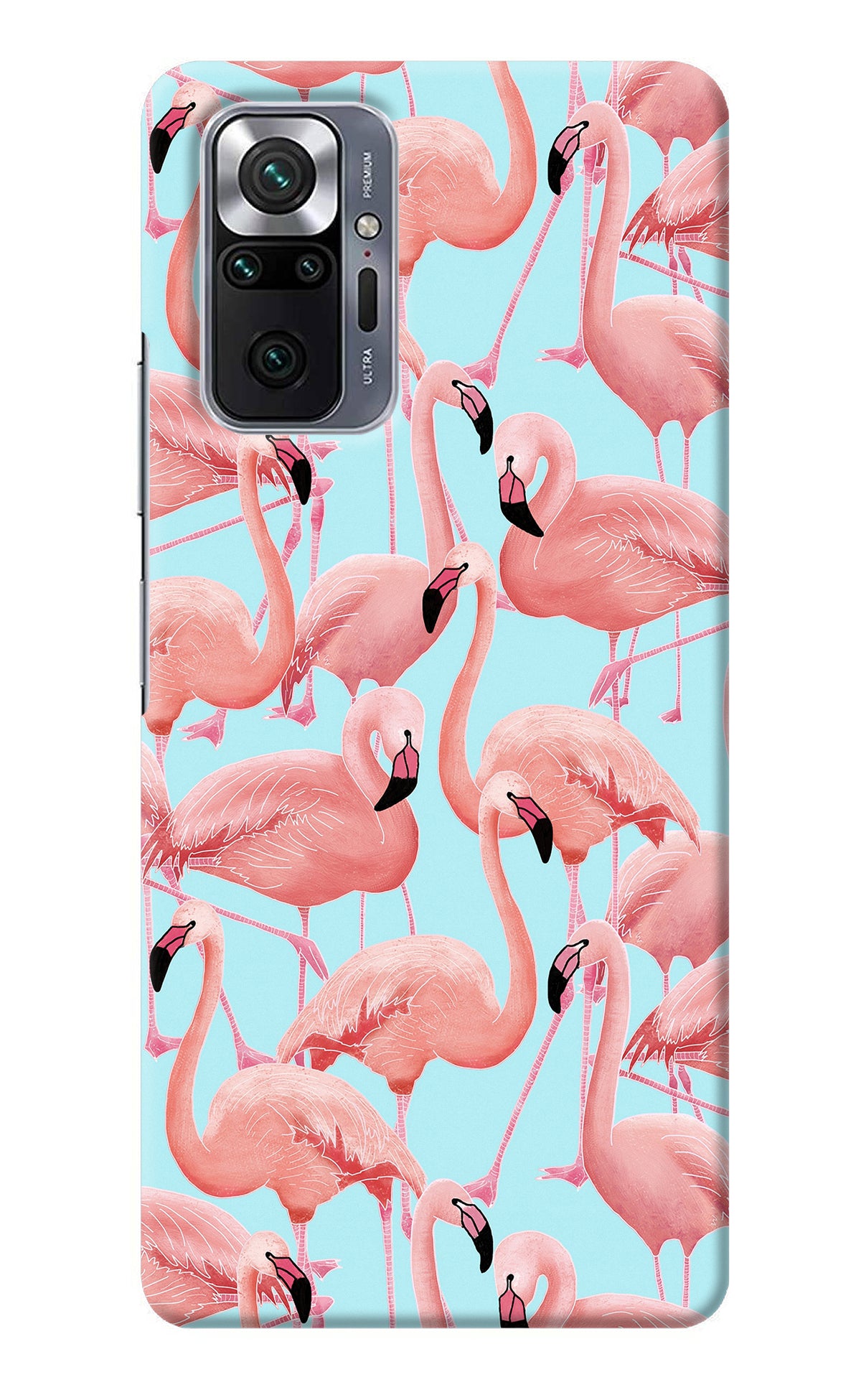 Flamboyance Redmi Note 10 Pro Back Cover