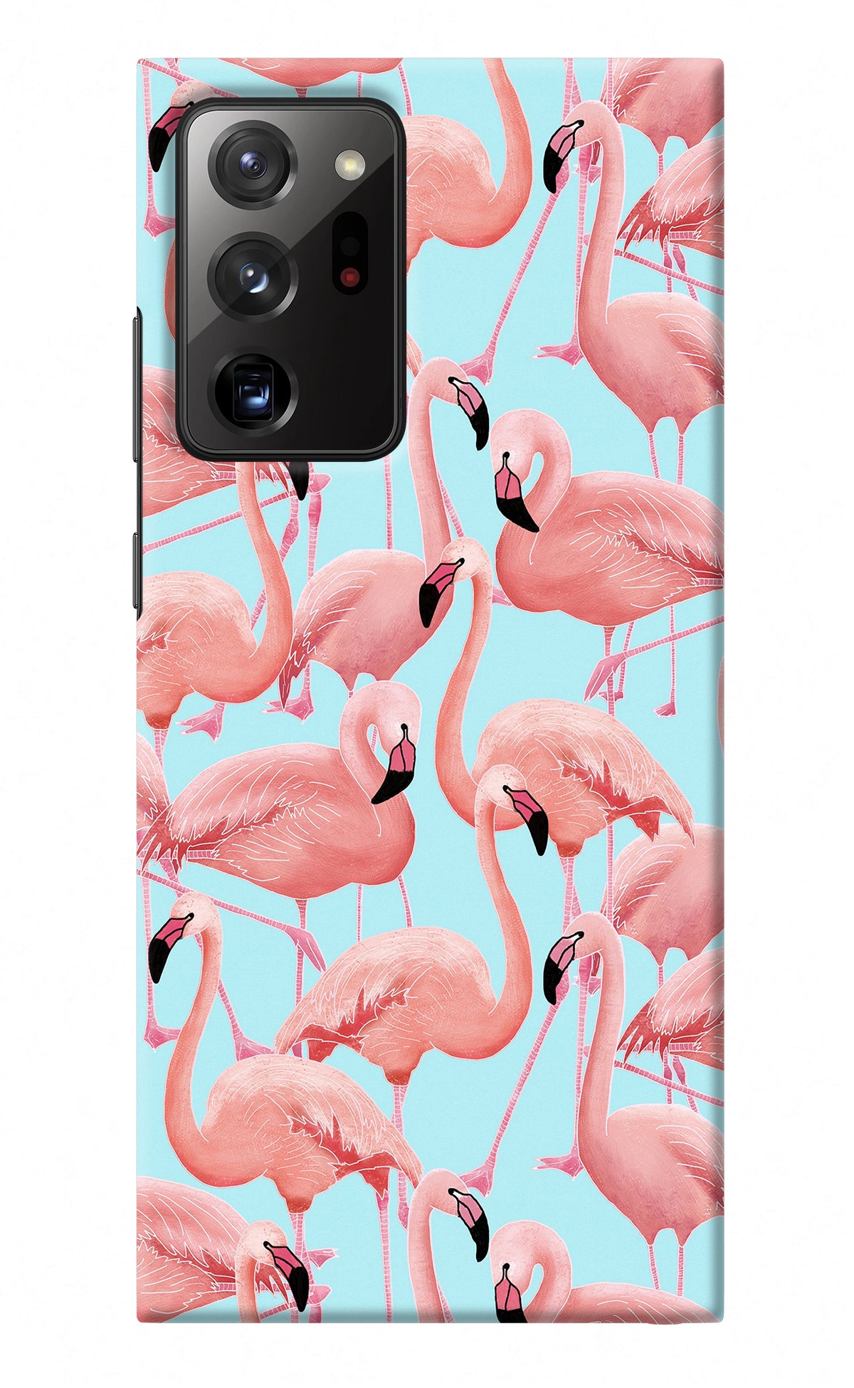 Flamboyance Samsung Note 20 Ultra Back Cover