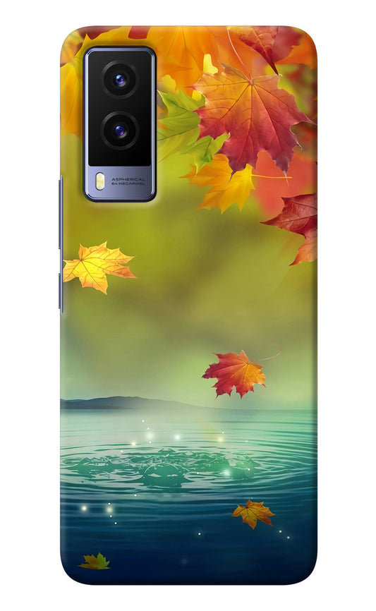 Flowers Vivo V21E 5G Back Cover