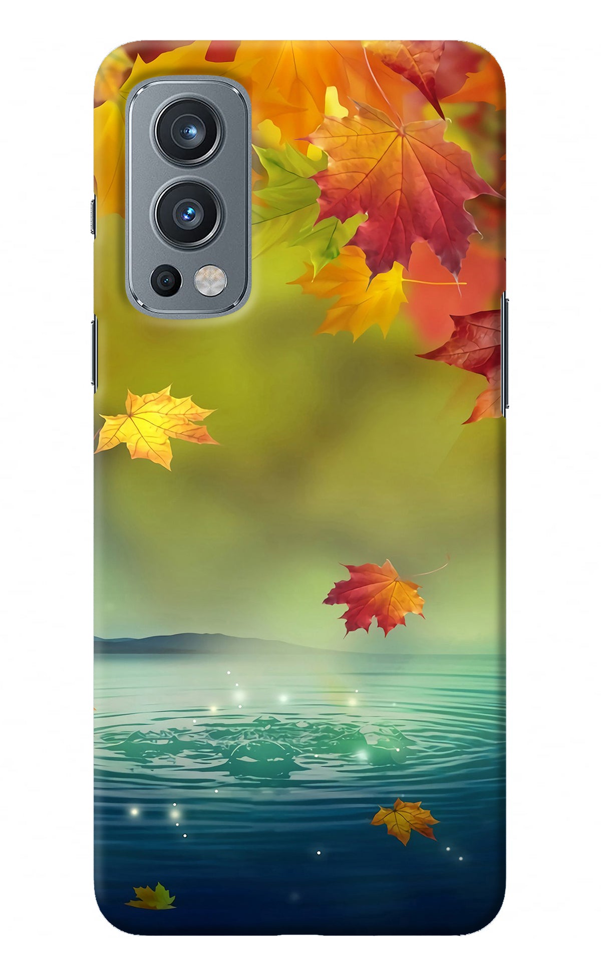 Flowers OnePlus Nord 2 5G Back Cover